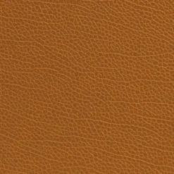 Modern Leather Table Lamp with USB and Fabric Shade Tan - Elegant Designs 11 Modern Leather Table Lamp with USB and Fabric Shade Tan - Elegant Designs -Deals A Radiant Den Store unnamed file 4169